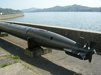 �X�R���_�f�����i�����j